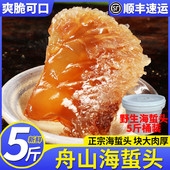 正宗舟山野生海蜇头5斤桶装 即食凉拌海蜇丝特大级海蜇脆嫩凉拌菜
