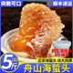 正宗舟山野生海蜇头5斤桶装 即食凉拌海蜇丝特大级海蜇脆嫩凉拌菜