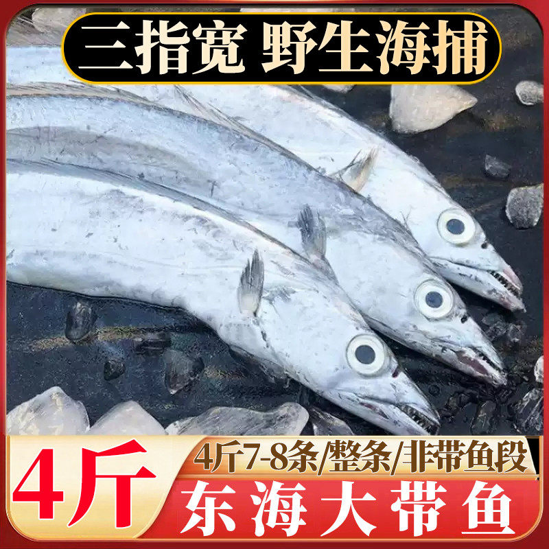 带鱼舟山新鲜鲜活整条雷达网小眼东海大带鱼冷冻4斤 非刀鱼带鱼段