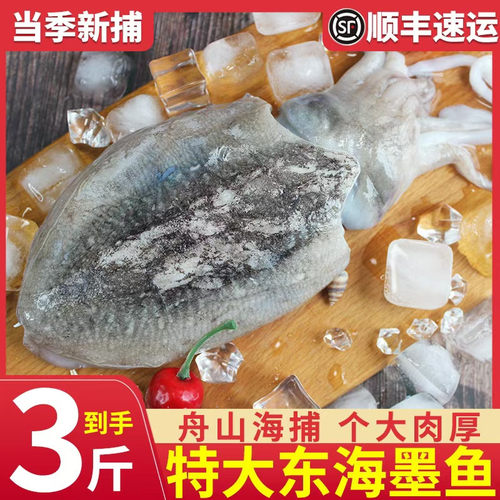 本地超大新鲜冷冻目鱼东海水产