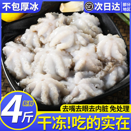 新鲜小八爪鱼鲜活小章鱼去内脏