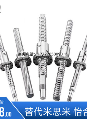 BSWE0802-BSWE1002-BTWE1204-BTWE1210-BTWE1510-BTWE1520丝杆