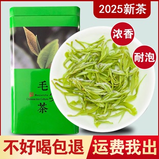 毛尖茶叶绿茶一级信阳毛尖2025新茶一芽一叶明前嫩芽浓香型250g