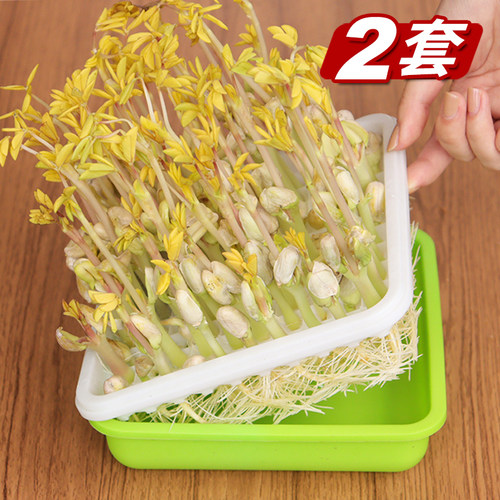 苗盘豆芽花生水培盒专用盆