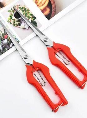 Professional Stainless Steel Garden Pruning Shears Thinning