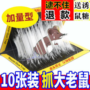 强力粘鼠板老鼠贴灭鼠老鼠夹捕鼠神器老鼠胶器家用一窝端老鼠板