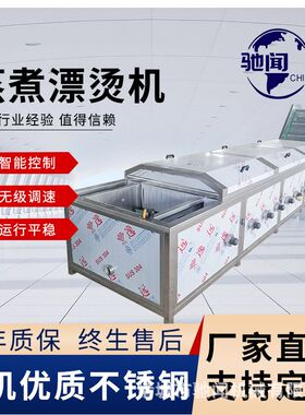肉制品卤煮流水线 银杏杀青设备 金针菇杏鲍菇蒸煮漂烫机 驰闻