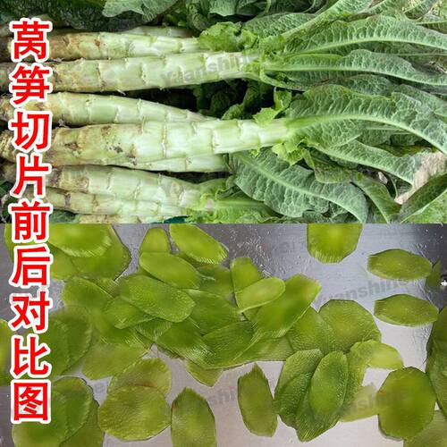 厂家热销滚刀式切丝切片机 辣椒切圈机 不锈钢秋葵切块机