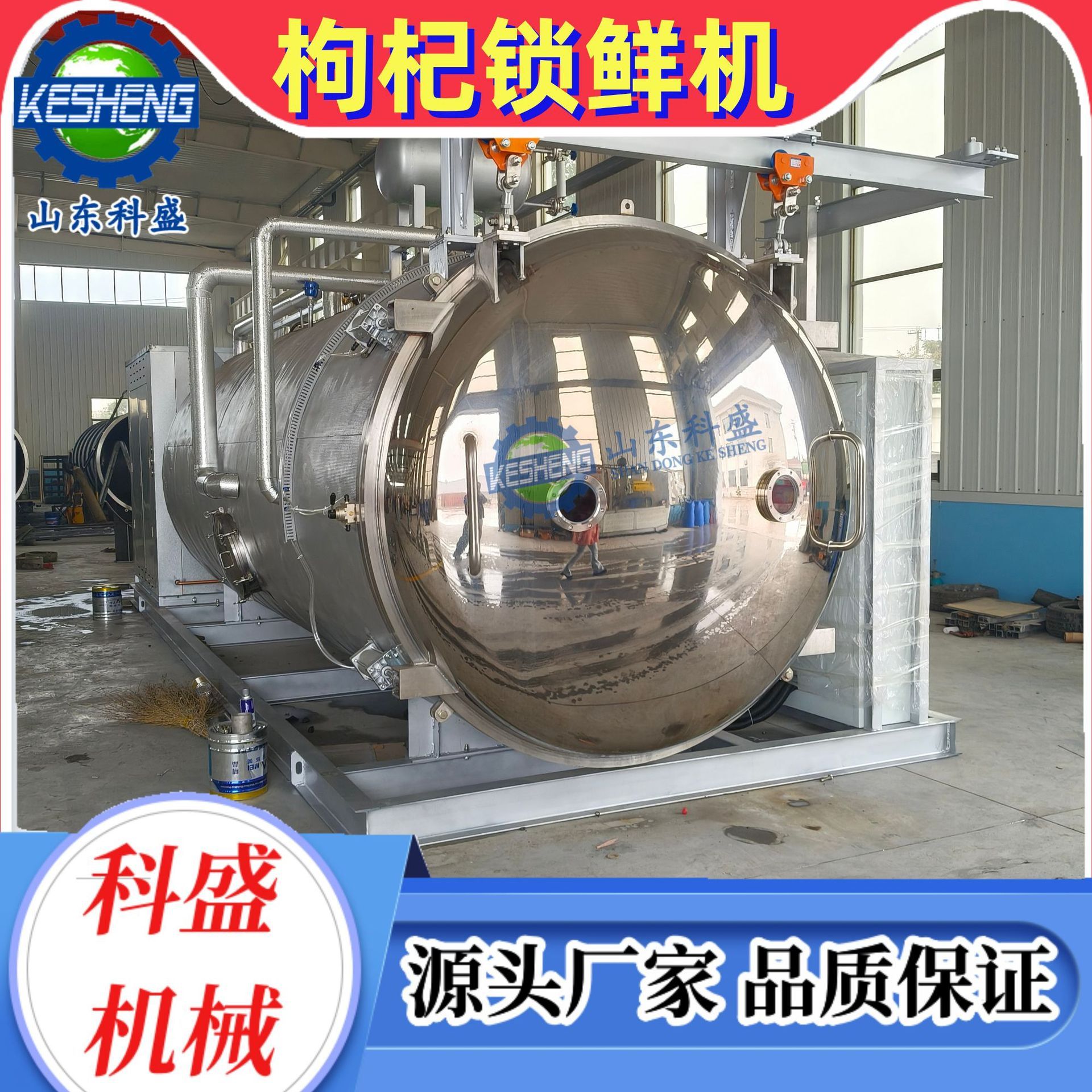 柠檬片冻干机 枸杞真空锁鲜机 商用无花果火龙果真空冻干机