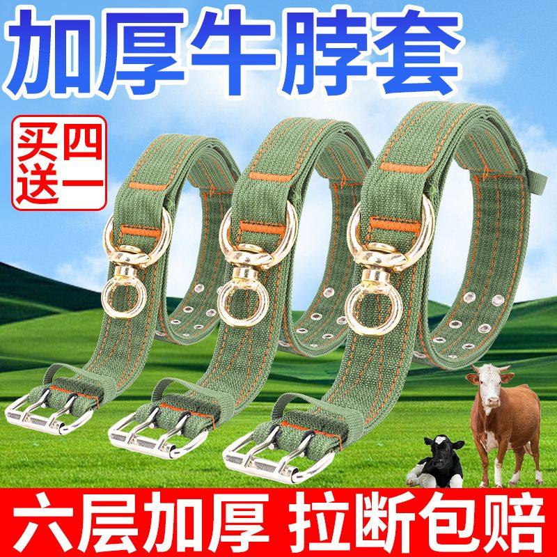 栓牛脖套牛脖圈牛羊脖套项圈牛绳子加厚栓牛专用脖套绳牵牛笼头套,畜牧/养殖物资,畜牧/养殖器械,淘宝优惠券,粉丝福利购,淘宝优惠卷