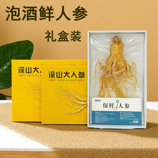 长白山泡酒鲜人参礼盒装保鲜白参大单独包装中药泡酒炖汤火锅底料