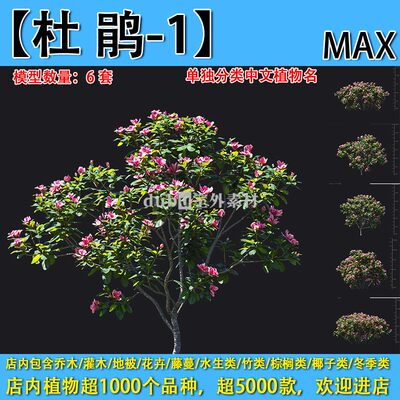 灌木地被花卉-088【杜鹃-1】max植物园林景观室外3d植物模型