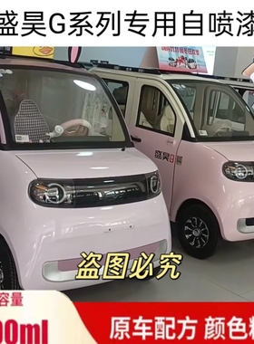 盛昊G11电动车紫色自喷漆G系列霞光紫椰椰紫车漆划痕修补防锈车漆