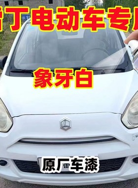 雷丁D50D70 COCO电动汽车油漆专用自喷漆金属漆红色冰海蓝象牙白