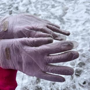 打雪仗大学生一次性PVC手套女生冬玩雪防水不冻手雪叠戴防风防寒