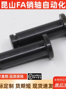 卡簧型带肩铰链销HCCG/HCCGH10-54 MIC11/MIC12-D10-L54