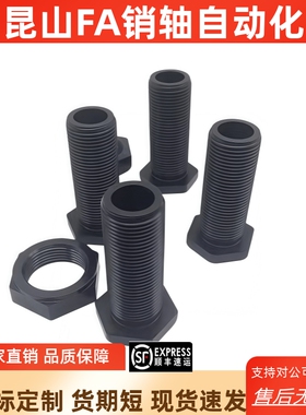 PAX31 01-M8 M10 M12 M16 M20 M24 M30-L5 L10 L15~100调整螺栓