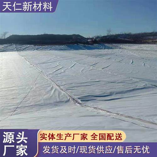 两布一膜复合土工膜一布一膜渠道衬砌人工湖河道护坡用防渗土工布