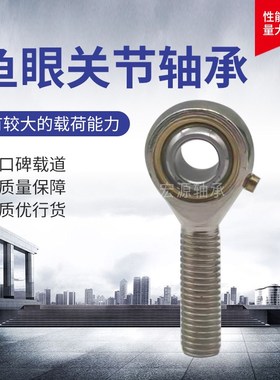 鱼眼轴承杆端关节鱼眼接头连接杆SI3/4/5/6/8/10/12/14/16 T/KPHS