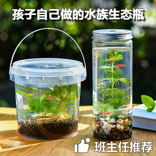 班主任推荐 初中生物生态瓶材料水草自循环微景观小学生