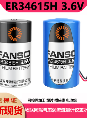 孚安特ER34615H智能水表电池3.6V流量计表GPS定位器锂电池1号D型