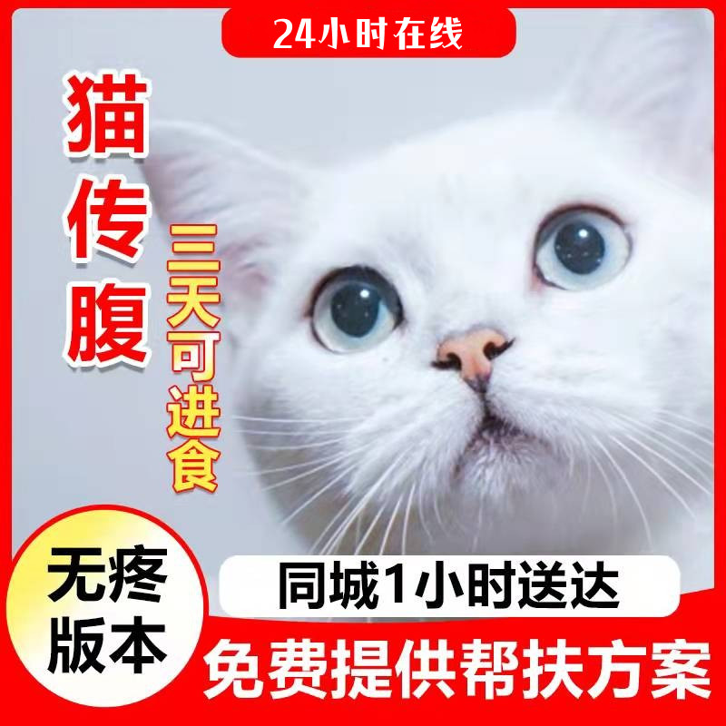猫传腹干湿性腹水大肚子fipv口服顺丰闪送同城包售后