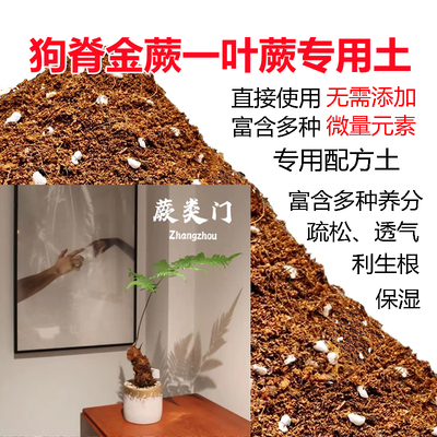 狗脊金蕨一叶蕨类植物红毛蕨专用土红土天然保湿进口有机保水椰糠