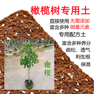 橄榄树土油橄榄树专用土盆栽营养土碱性沙质土壤家用绿植种植肥料