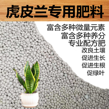 虎皮兰专用营养液花肥料盆栽室内客厅通用型金边土水培千岁叶面肥