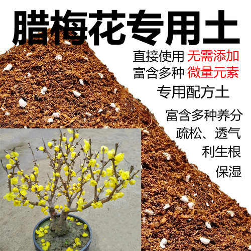 腊梅花专用土盆栽酸性沙质泥炭
