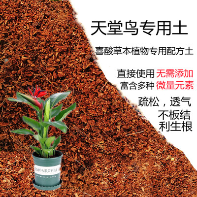 网红天堂鸟盆栽专用土弱酸性家庭种植土通用型有机营养土花泥植料