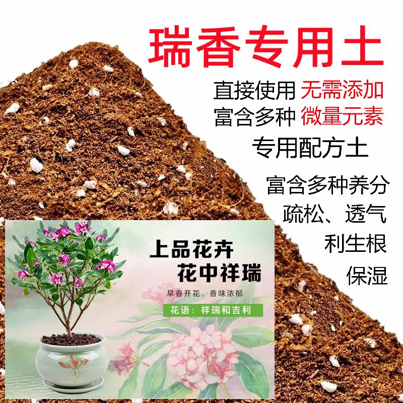 金边瑞香土金边瑞香专用土酸性营养土透气家用种植瑞香沙性红土壤图片