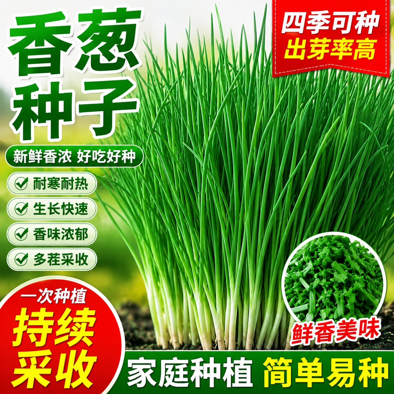 四季小香葱种子家庭阳台室内外庭院盆栽分葱易种蔬菜种子高产耐寒