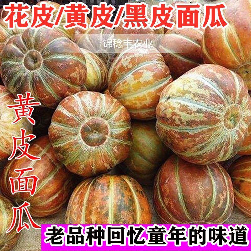 A老品种面瓜种籽黄皮黑皮花皮面瓜种子露地生吃甜瓜种籽香瓜四季