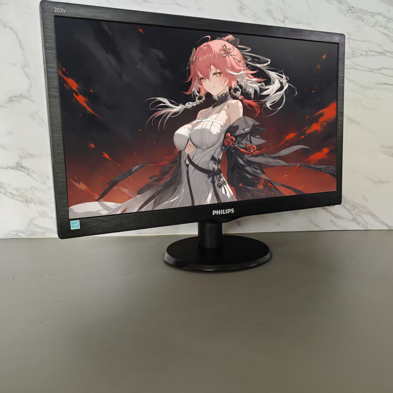 19.5英寸203v5l飞利浦台式电脑显示屏监控设备办公家用VGA接口