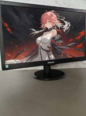 19.5英寸203v5l飞利浦台式电脑显示屏监控设备办公家用VGA接口