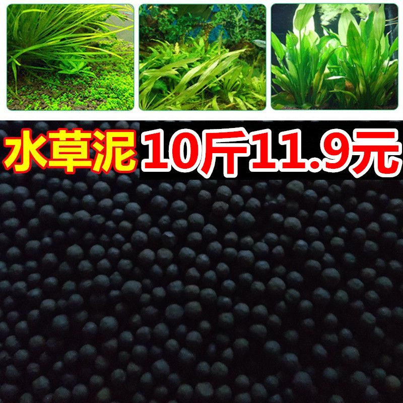 水草种子基肥不浑水鱼缸底沙