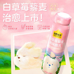 【230g*10酸奶】潦草小狗联名认养一头牛白草莓藜麦风味酸乳230g
