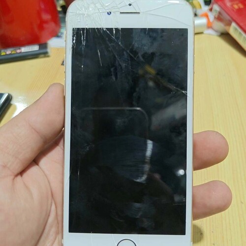 议价iPhone6s 金色，充电有标志，开不了机，内屏完好，外屏