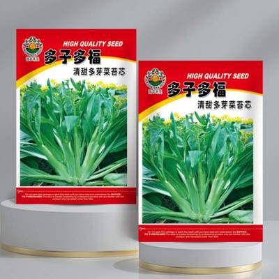 多子多福菜心种子四季播鲜香甜连州菜心清甜多芽菜苔种籽蔬菜种孑