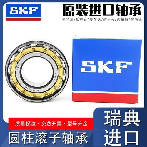 SKF瑞典进口轴承RN NUP NJ NU NF N 202 203 204 205 206 ECM NUP