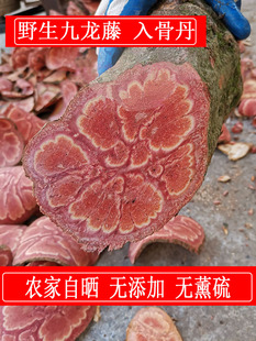 广西野生九龙藤中药材过岗龙龙须藤九龙根入骨丹九龙藤500g包邮