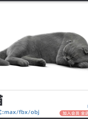 C4D猫咪maya 3D写实zbrush模型max建模obj渲染fbx素材blender渲染