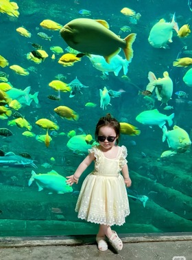 美国Rylee and Cru正品女童纱连衣裙生日礼服满月周岁