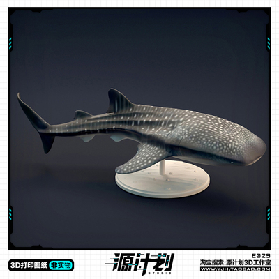 海洋生物 游走的鲸鲨鲸鱼脊椎动物STL图纸文件3D打印模型设计素材
