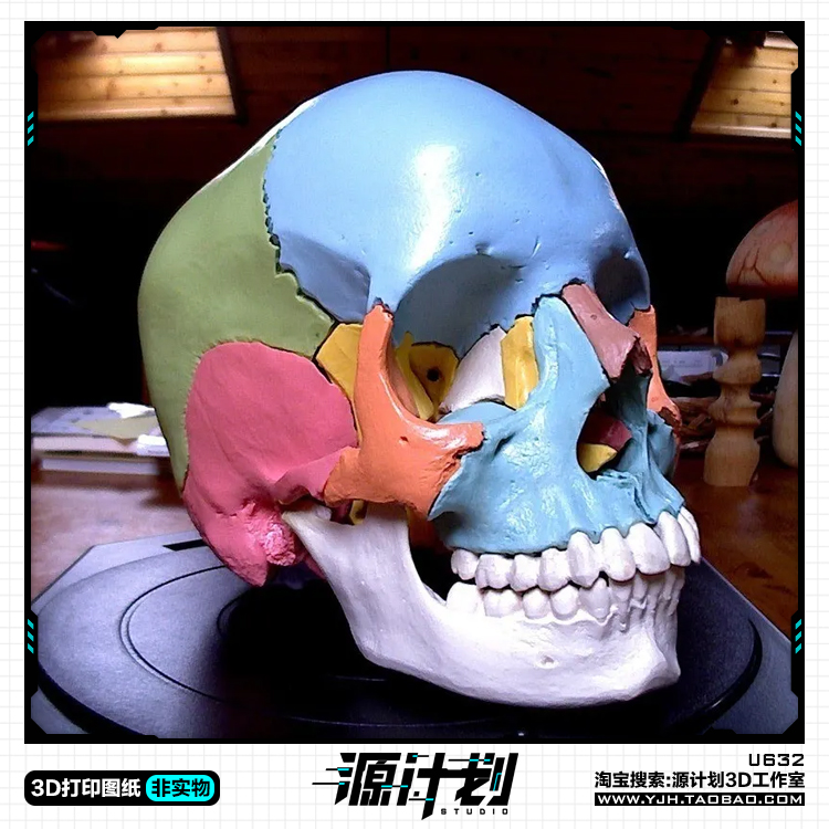 3D艺术绘画素材骷髅头模型手办 3D打印模型图纸白模定制STL文件