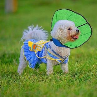 Dog Recovery Collar Anti-Licking Comfortable Cone Oxford