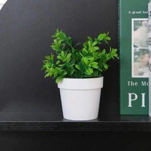 Plastic Evergreen Plant Bonsai Fake Artificial Mini