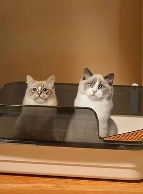 Extra Large Cat Litter Box Pet Sandbox Splashproof Cat Tray