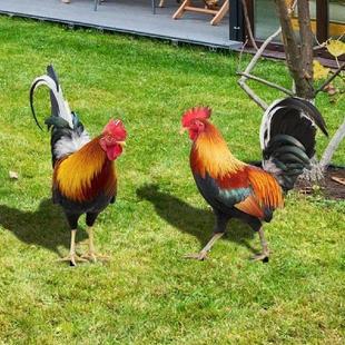 Ornamental Sculpture Fence Chicken 2PCS